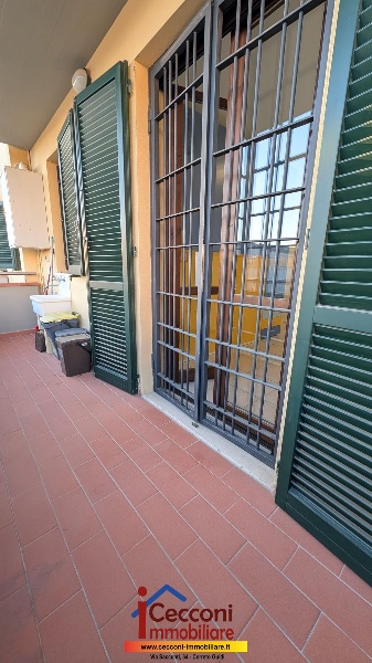 immagine annuncio 12 di 14