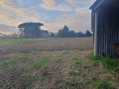 Foto Casale a Camaiore Capezzano Pianore di 112 m² con 7 locali in vendita