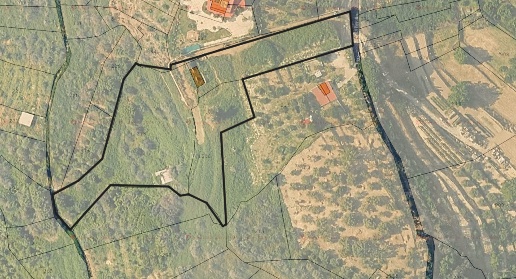 Foto Terreno agricolo a Condrò di 6050 m² in vendita