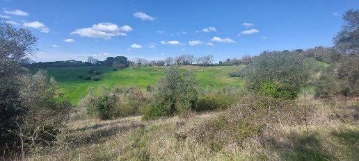Foto Terreno agricolo in Strada vicinale vipiana 0, Civitella Paganico