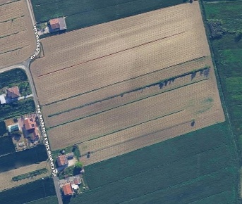 Foto Terreno agricolo in via Campone Sala, Cesenatico Sala di 14197 m²