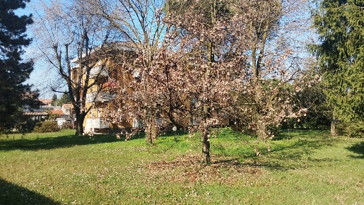 Foto Appartamento in VIA MONTELLO 6, Casorate Sempione di 110 m² in vendita