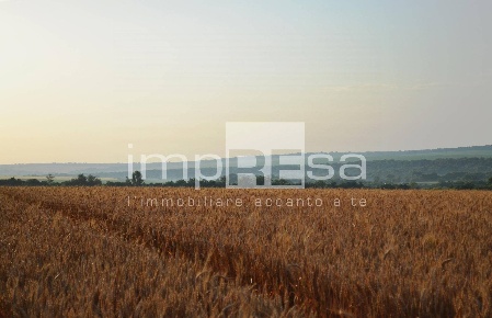 Foto Terreno residenziale in Via Della Favorita, Fossalta di Piave Centro