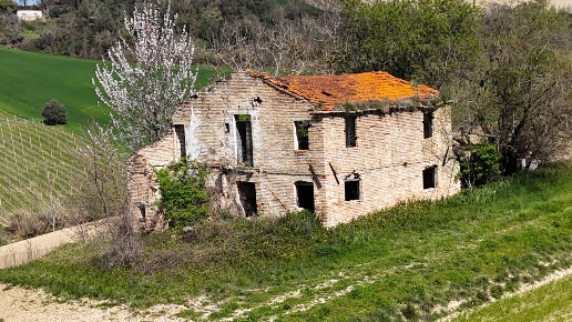 immagine annuncio 1 di 14