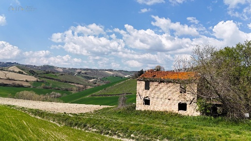 immagine annuncio 2 di 14