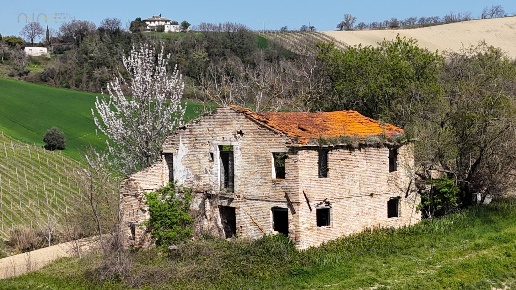 immagine annuncio 3 di 14
