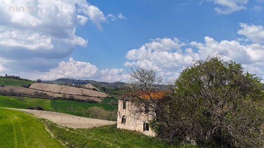 immagine annuncio 6 di 14