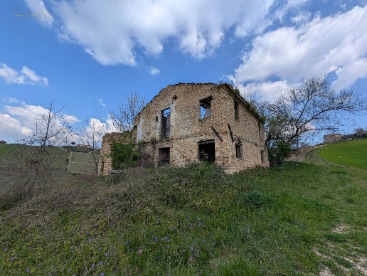 immagine annuncio 8 di 14