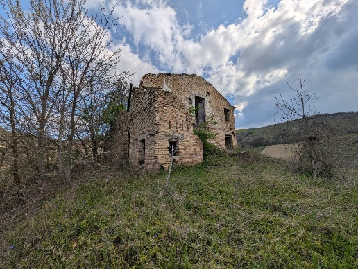 immagine annuncio 9 di 14