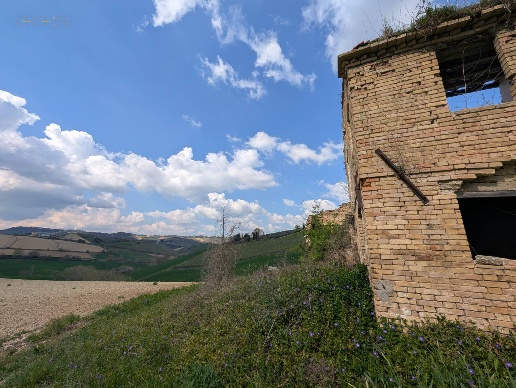 immagine annuncio 10 di 14