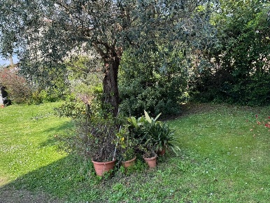 Foto Casa indipendente a Montignoso Debbia, Cervaiolo di 200 m² in vendita