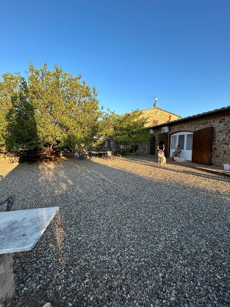 immagine annuncio 6 di 14