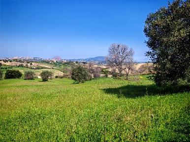 Foto Terreno agricolo in VIA FRANCESCA FELICITA TACCHINARDI, Recanati