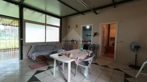 immagine annuncio 2 di 14