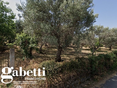 Foto Terreno residenziale in Via SAN PIETRO SNC, Acquedolci di 9000 m²