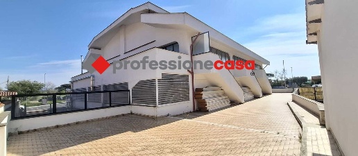 Foto Negozio in Danimarca, Pomezia Torvaianica - Centro di 500 m²