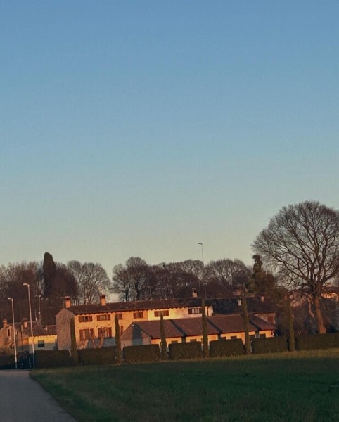 immagine annuncio 4 di 14