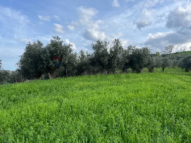 Foto Terreno agricolo in Via Parco Nazionale d'Abruzzo, Manoppello