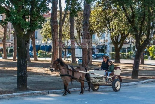 immagine annuncio 4 di 14