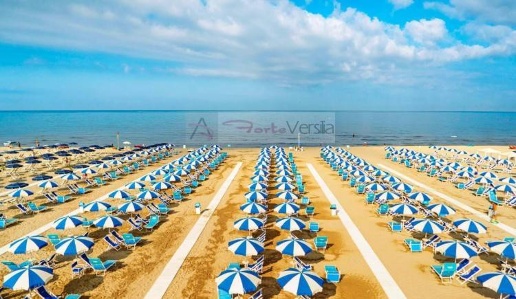 immagine annuncio 6 di 14