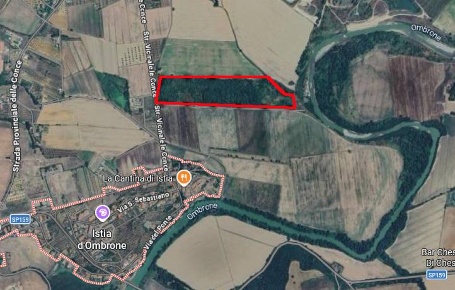 Foto Terreno agricolo in Località Le Conce, Grosseto in vendita