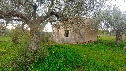 Foto Rustico in c/da  cirito, Chiaramonte Gulfi di 50 m² con 3 locali