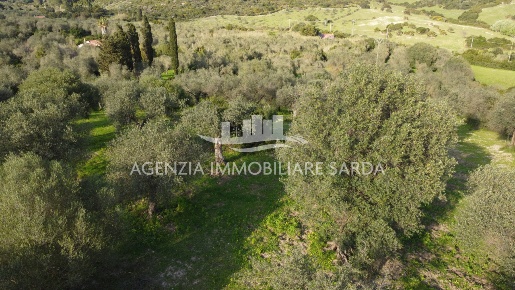Foto Terreno agricolo a Alghero Mercede, Calabona di 13447 m² in vendita