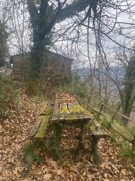 immagine annuncio 2 di 13