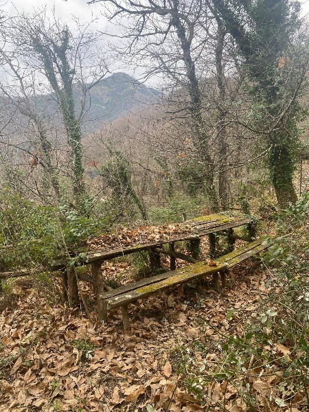 immagine annuncio 6 di 13