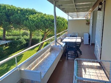 Foto Appartamento a Bibbona Marina Di Bibbona di 50 m² con 2 locali