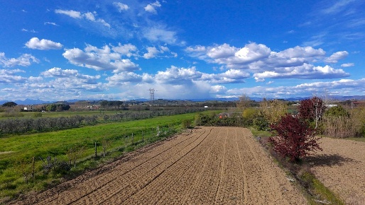 Foto Terreno agricolo a San Miniato La Scala, Calenzano di 10790 m²