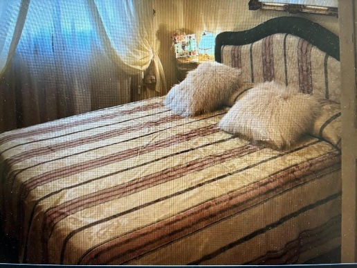 immagine annuncio 4 di 7