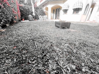Foto Appartamento a Luni Casano Dogana Isola di 95 m² con 4 locali