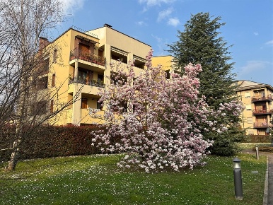 Foto Attico in via Pò, Biassono Centro di 157 m² con 4 locali in vendita