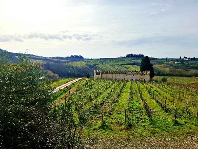 Foto Rustico a Empoli Martignana - Piazzano di 170 m² con 5 locali