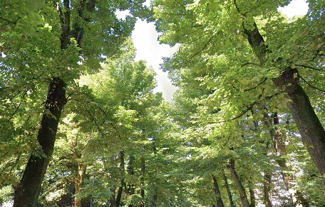 Foto Appartamento a Pisa Le Piagge di 199 m² con 8 locali in vendita