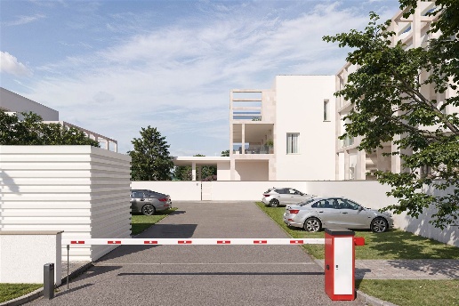 immagine annuncio 4 di 12