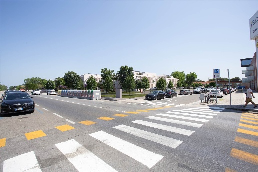 immagine annuncio 8 di 12