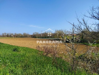 Foto Terreno agricolo a Coriano San Lorenzo Monte di 21000 m² in vendita