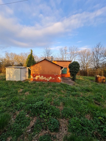 immagine annuncio 1 di 2