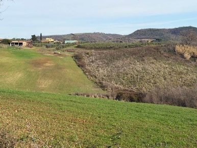 Foto Terreno agricolo a Magliano in Toscana Centro di 400 m² in vendita