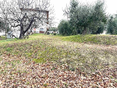 Foto Terreno edificabile a Ostra di 800 m² in vendita
