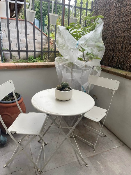 immagine annuncio 12 di 14