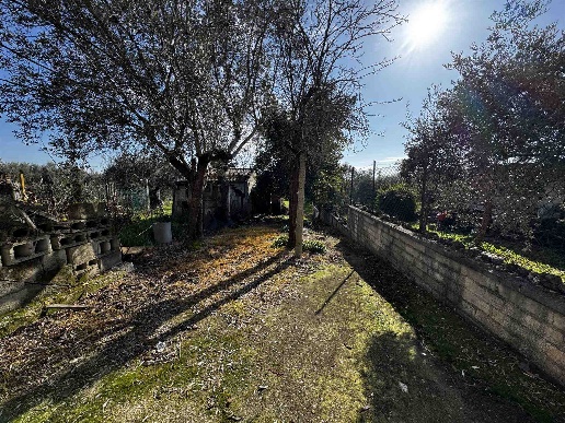 immagine annuncio 12 di 14