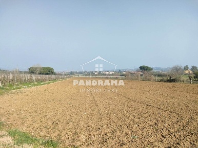 Foto Terreno agricolo a Coriano Gaiofana di 7180 m² in vendita