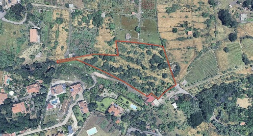 Foto Terreno agricolo in Via Penninazzo 44, Viagrande di 7982 m² in vendita