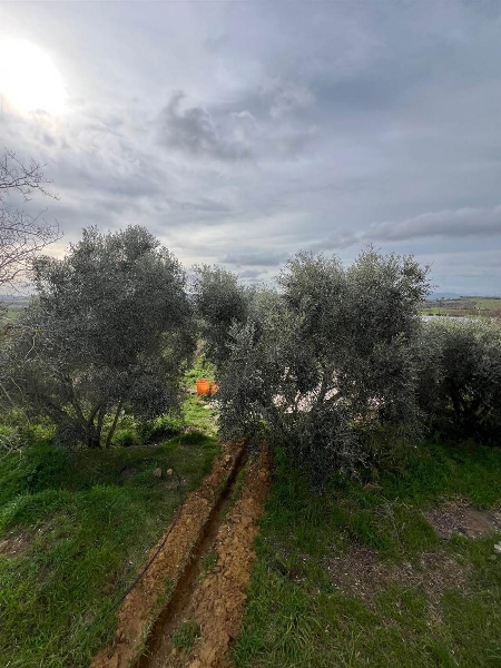 immagine annuncio 7 di 9