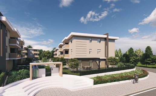 immagine annuncio 4 di 7