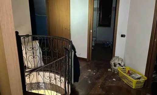 immagine annuncio 6 di 14