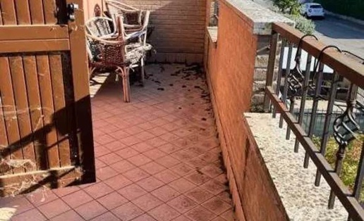 immagine annuncio 9 di 14